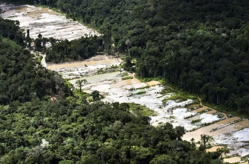  Força-tarefa destrói dez garimpos ilegais na Amazônia