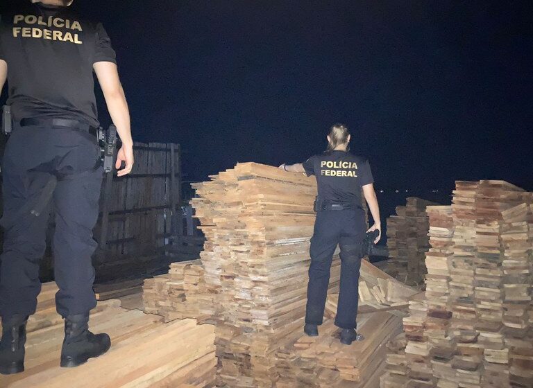  Polícia Federal prende em flagrante madeireiro suspeito de subtrair madeira apreendida no Pará