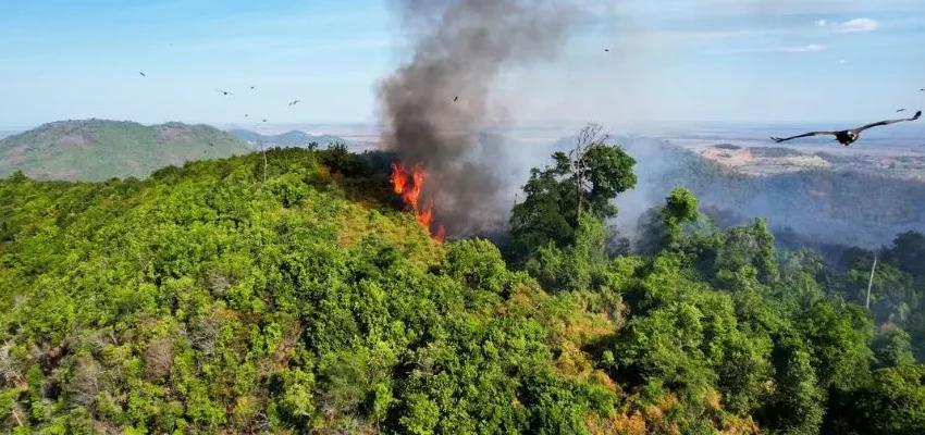  Fogo atinge Parque Veredas dos Carajás no Sudeste do Pará
