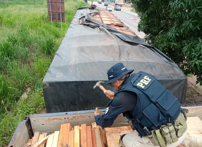  PRF apreende 313 m³ de madeira ilegal no Pará