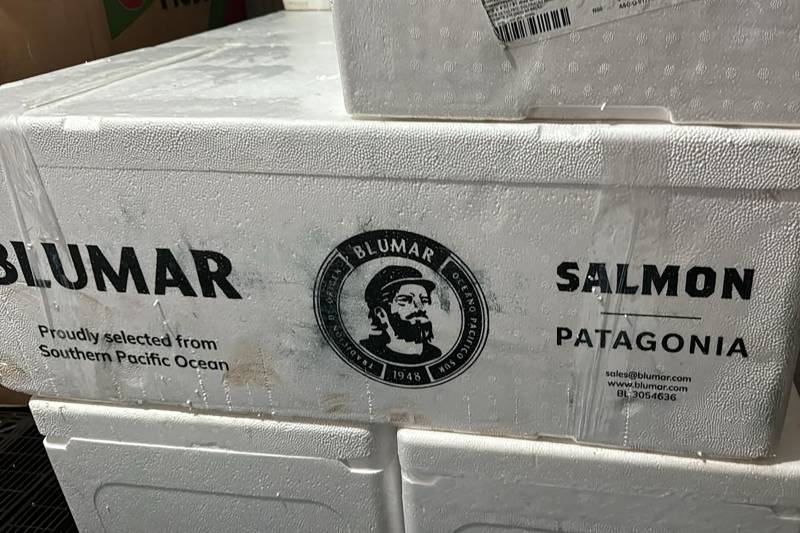  Sefa apreende 990 quilos de salmão importado em Santarém