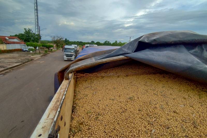 60 toneladas de soja são apreendidas pela SEFA em Dom Eliseu