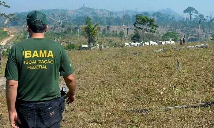  Concurso do Ibama: Prepare-se para as 260 vagas