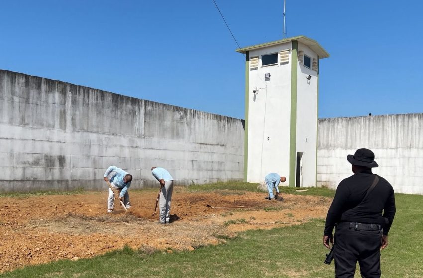  Prefeitura e Unidade de Custódia firmam parceria para implantação de horta em presídio de Parauapebas