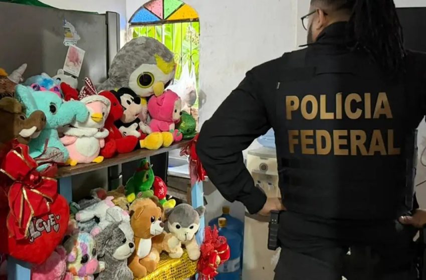  Polícia Federal deflagra ação em todo o país contra abuso sexual de crianças