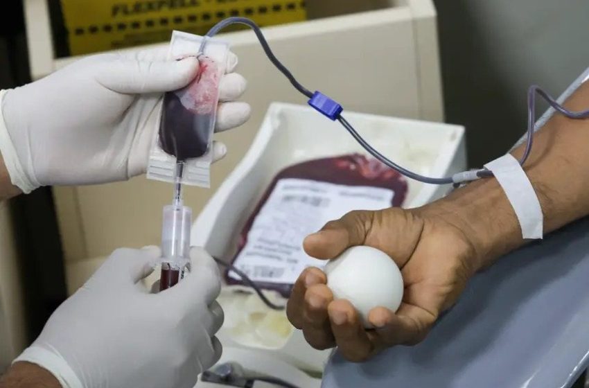  Hemopa deve fechar 2025 com mais de 100 mil doações de sangue no Pará