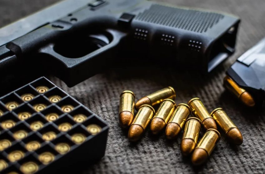  Comissão da Câmara aprova projeto que facilita compra de primeira arma