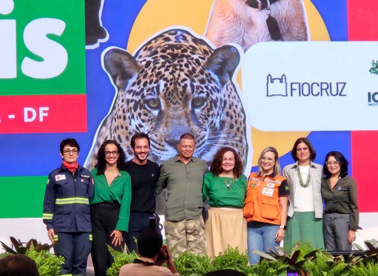  Brasil Inova: Resposta governamental a desastres naturais agora inclui proteção animal abrangente