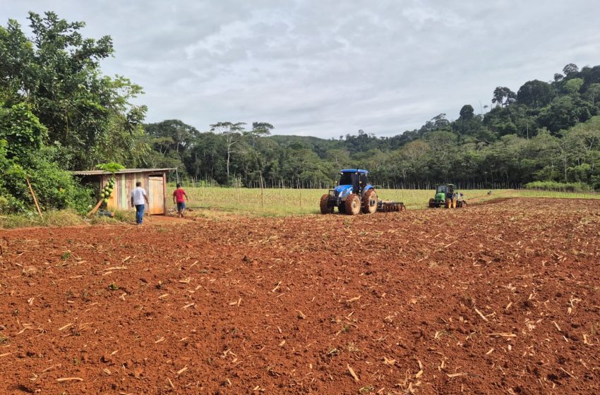  Mecanização Agrícola Impulsiona Produtividade e Dignidade para Agricultores Familiares em Parauapebas