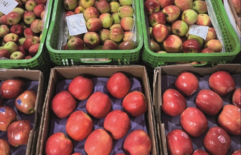 Setor Hortigranjeiro Brasileiro: Ceasas Movimentam R$ 68,7 Bilhões e Exportações de Frutas Disparam