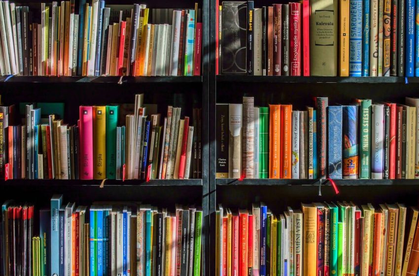 A Face Oculta da Inteligência Artificial: Milhões de Livros Comprados e Destruídos para Treinamento