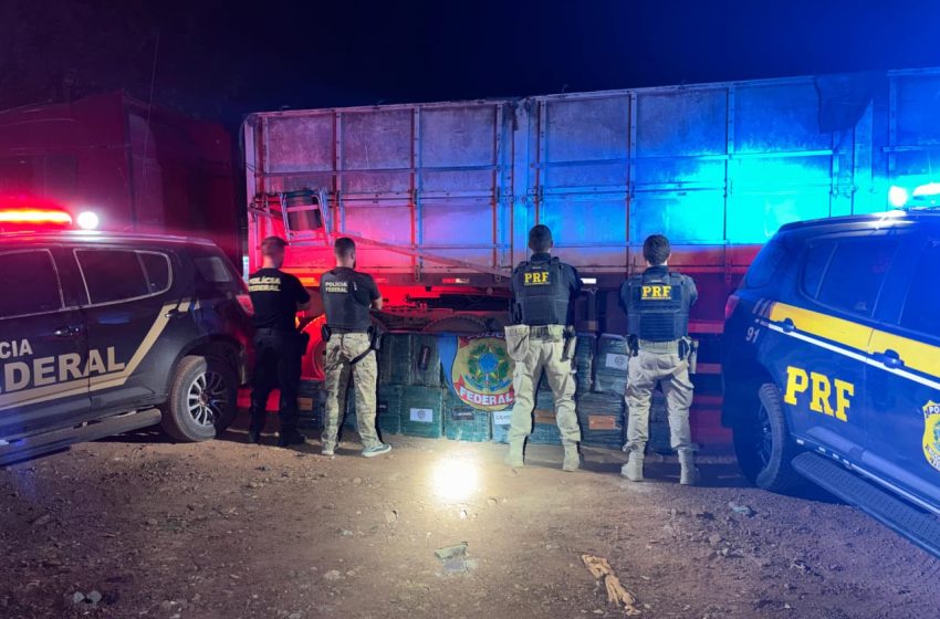 Mais de meia tonelada de cocaína é apreendida escondida em carga de milho no Pará