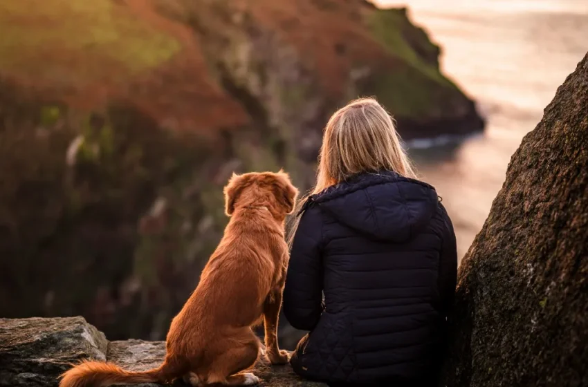 Companhia canina: como ter um cachorro pode adicionar anos à sua vida