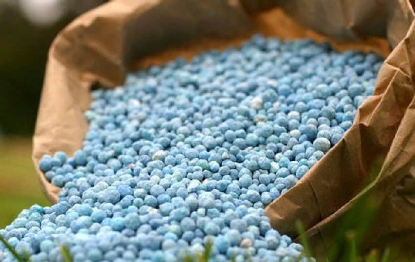 Expansão da produção de ureia na Índia visa autossuficiência em fertilizantes até 2030