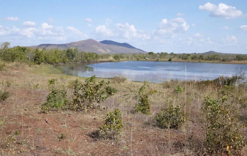 Alvo Minerals amplia projeto Bluebush e confirma alto potencial de terras RARAS pesadas