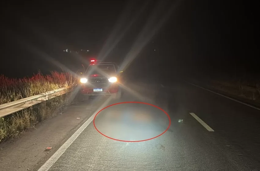 Caminhão atropela e mata pedestre na Br-230 em Pacajá e motorista foge sem prestar socorro