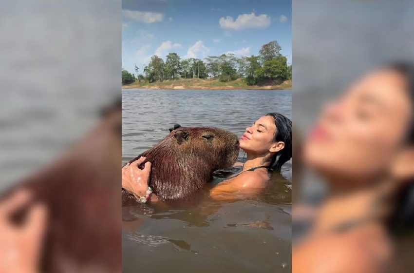Influencer viraliza ao abraçar capivara no Pará e acende alerta sobre riscos de doenças