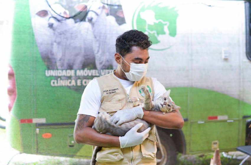 Parauapebas reforça compromisso com bem-estar animal no Dia Mundial dos Animais
