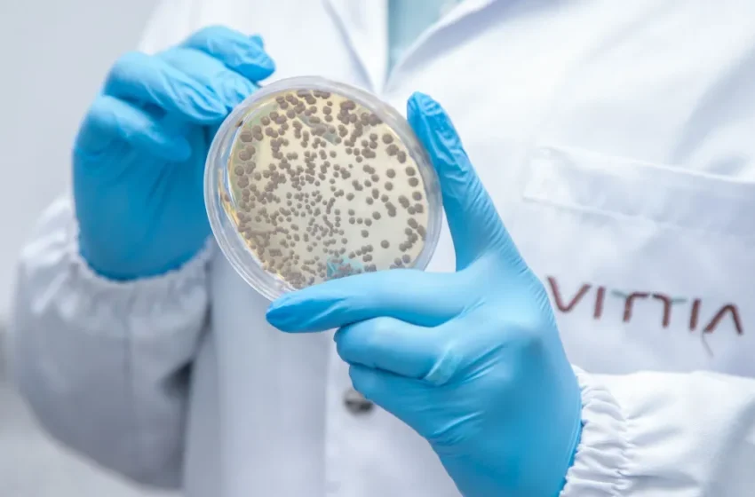 Vittia e Finep fecham parceria de R$ 20 milhões para criar bioinsumos voltados à pecuária